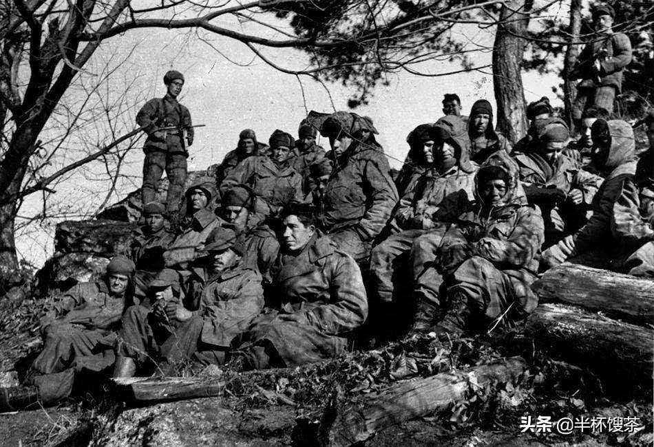 说谍视频,说谍1942上海