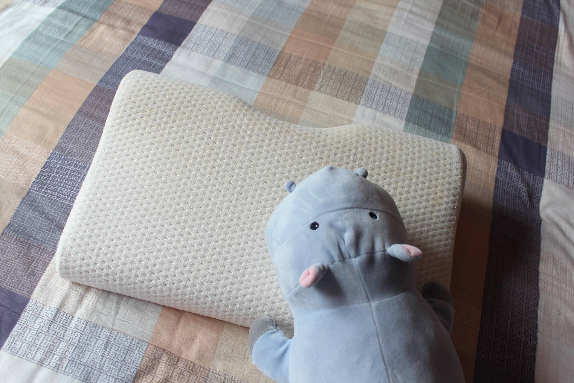 想要一个好梦,想要一个超好用的枕头