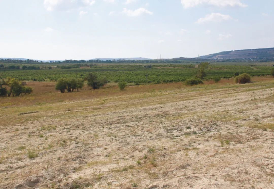 查尔斯王子最后怎么样了,英国查尔斯王储