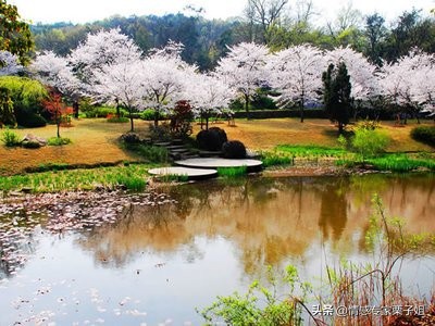 情感咨询|栗子姐每日情感问答(0330)