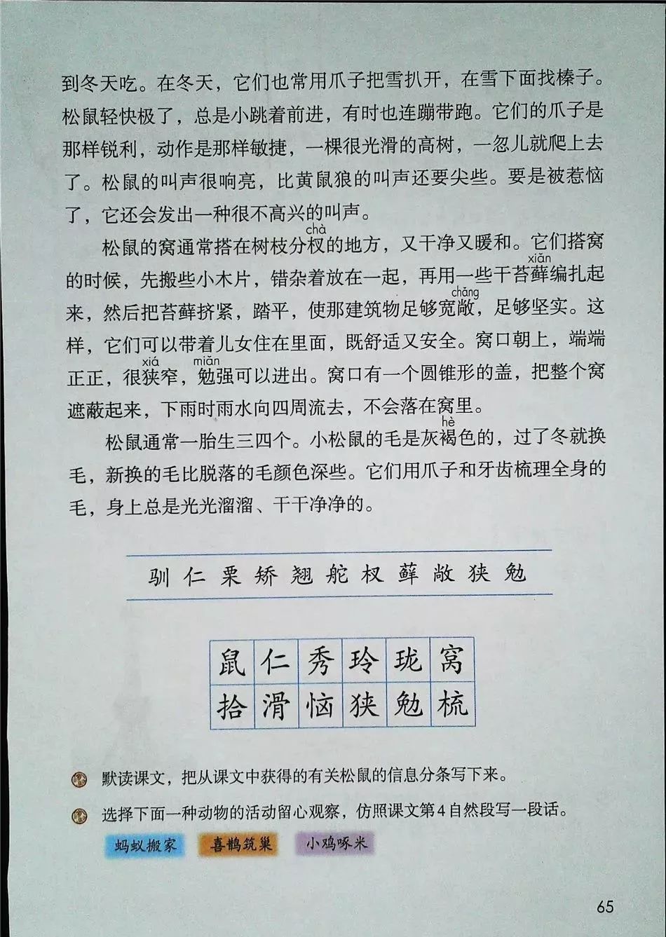 2021年版五年级下册语文电子课本,五年级下册语文长江电子课本2022