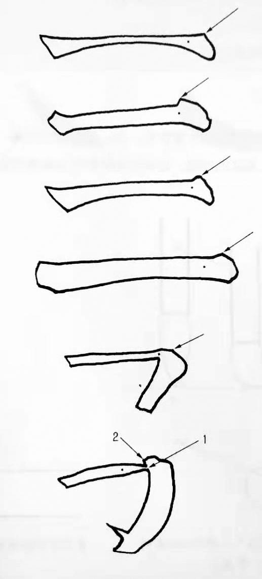 央美书法笔法,艺术家教你入门书法