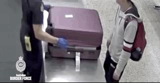 澳大利亚海关禁带物品清单查询,澳洲禁止入境物品最新规定