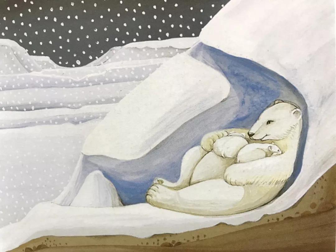 高需求孩子和低需求孩子,高需求的孩子怎么办