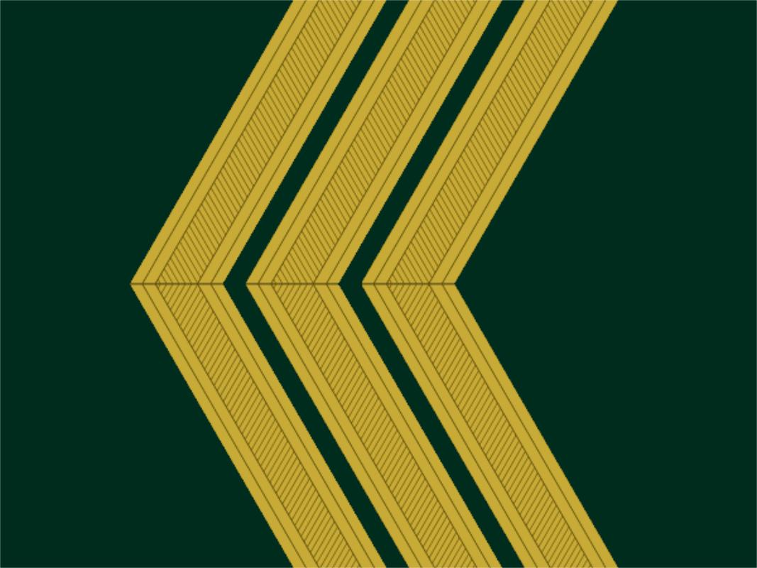 各国军衔标识葡萄牙,西班牙军衔等级一览表