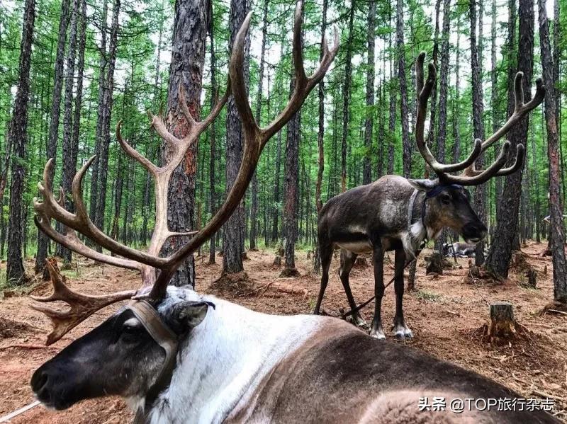 猝不及防,2020进度条已拉到50%!下半年最佳旅行时间表出炉,在最合适的时间去遇见对的风景吧