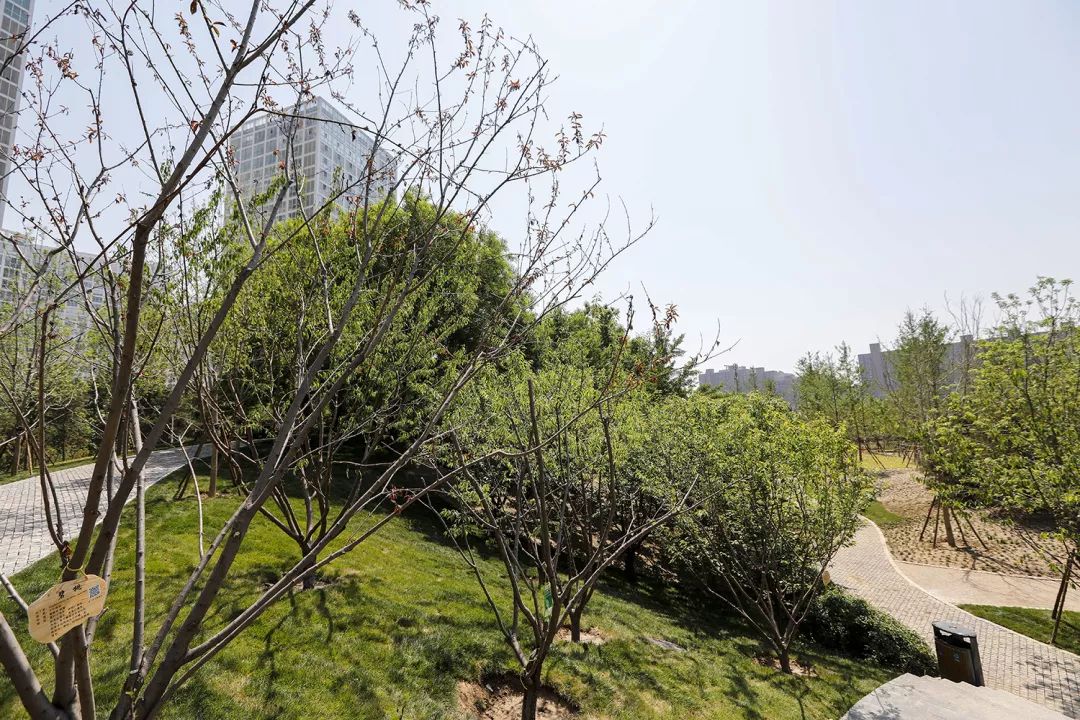 cbd白领生活,北京cbd白领下班回家