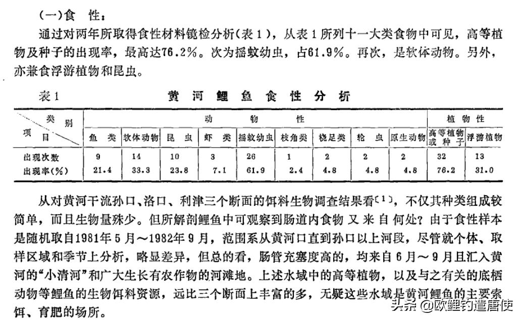 话说欧鲤钓之科学篇,欧鲤钓知识讲解