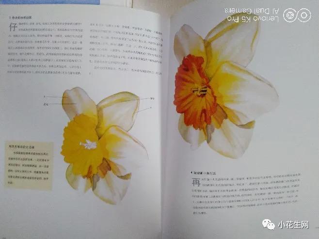 从零开始学绘画必备的画,从零开始学绘画第一步教程