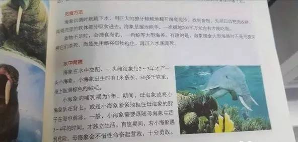 孩子只爱看漫画书怎么办,孩子喜欢看漫画书文字书不爱看