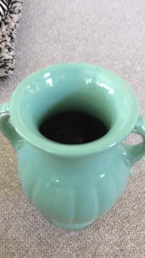 奇怪的知识增加了！猫咪简直就是液体做的