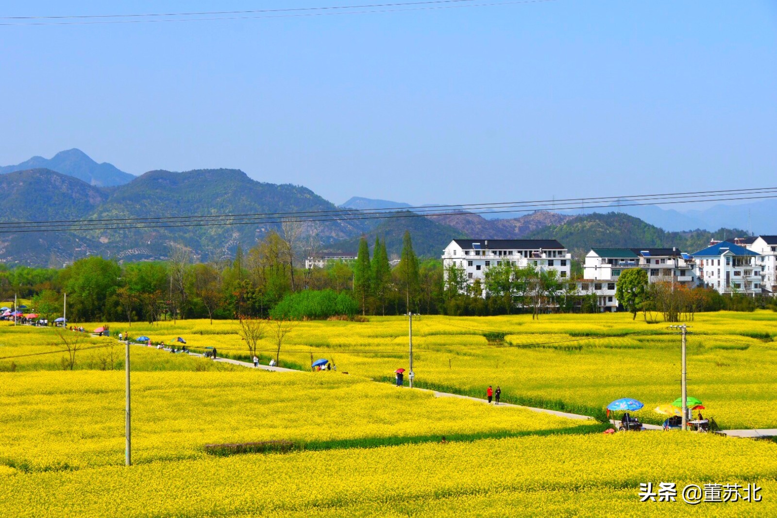 城市简介素材,城市简介上海