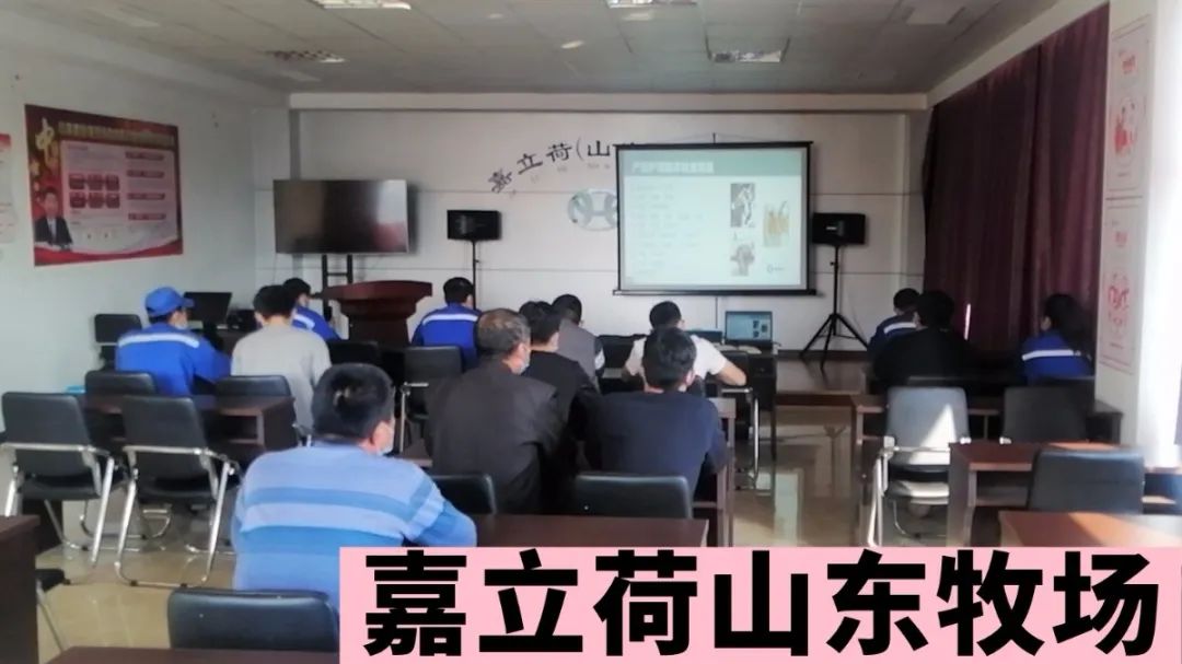 如何预防产后乳腺炎,产后疾病预防与护理