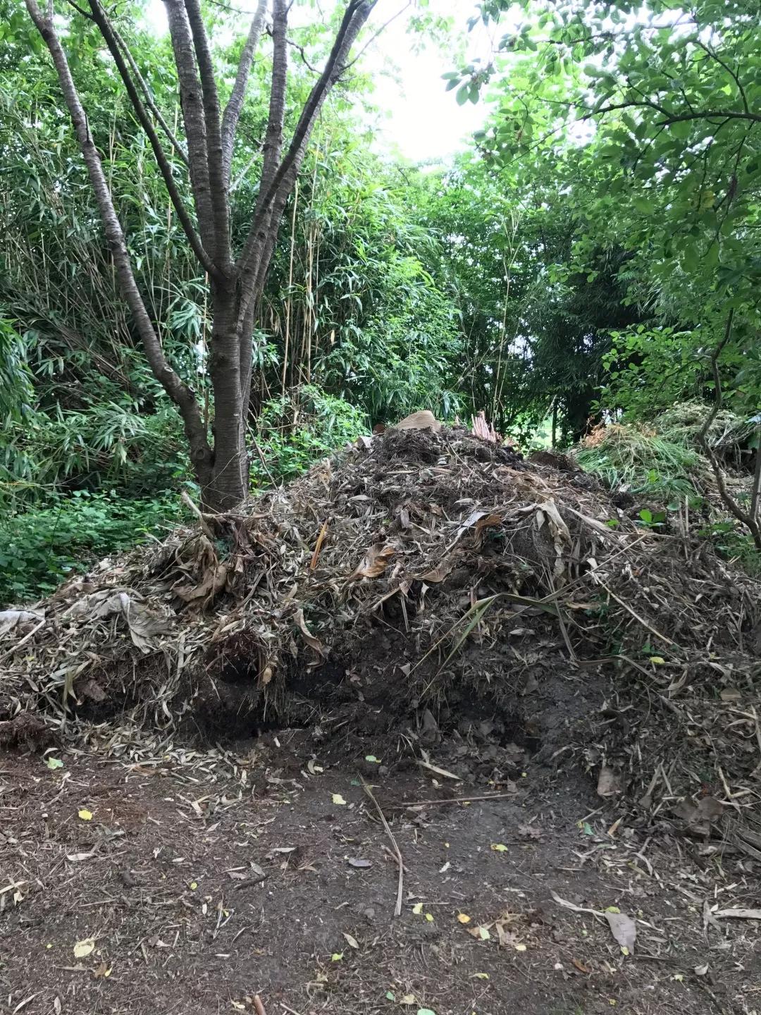 建一座完全不打药的生态花园,所有生命在这里和谐共处,值得收藏