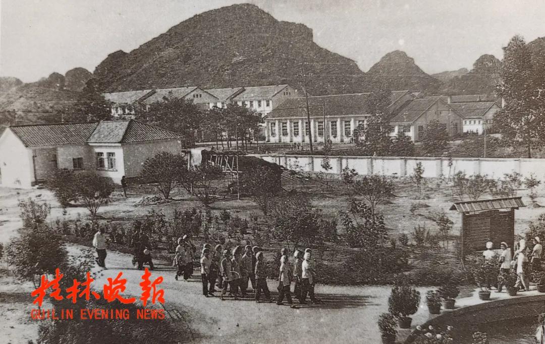 桂林棉纺厂历史简介,桂林纺织加工厂