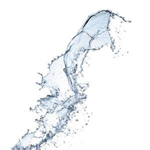 恐龙飞上天三种可能,恐龙如何飞上天空的