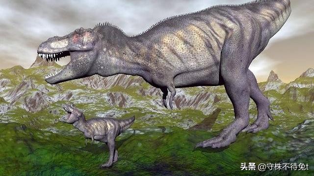 叫醒梦游的人有多可怕,10个冷知识