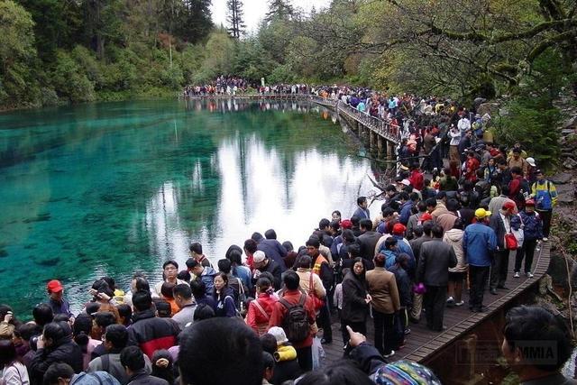 当没有了游客：威尼斯河水变清澈，武汉大学“网红”狐狸下山觅食