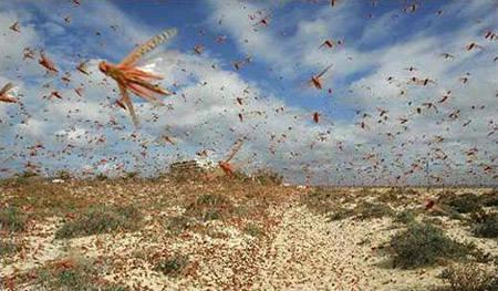 古代的灾难是从天而降吗,古代如何应对灾难