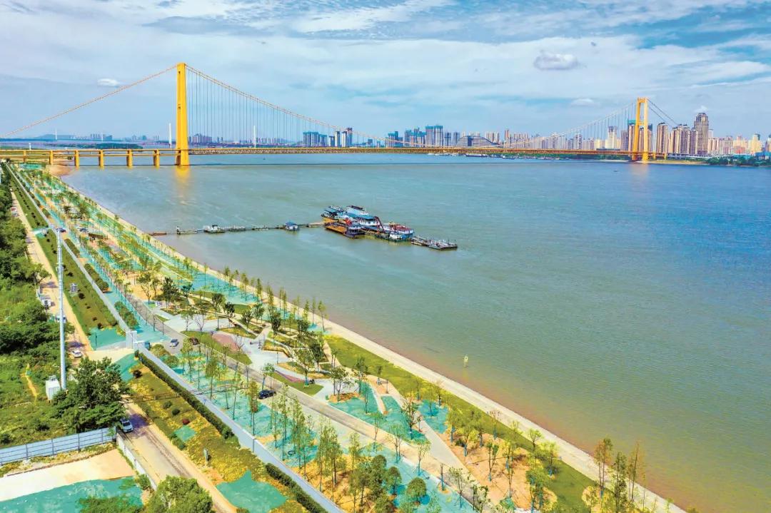 武汉白沙洲大道最新消息,武汉白沙洲最新消息