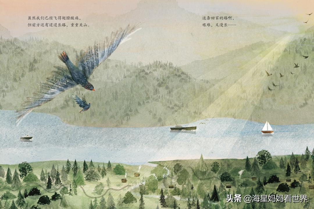 提高3-6岁孩子想象力的绘本,让孩子提升想象力的书