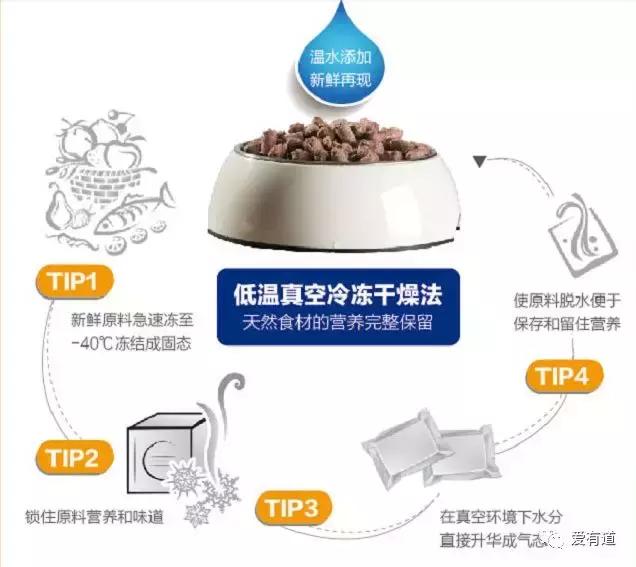 毛孩子乱吃东西被主人发现,毛孩子乱吃东西主子的真实反应