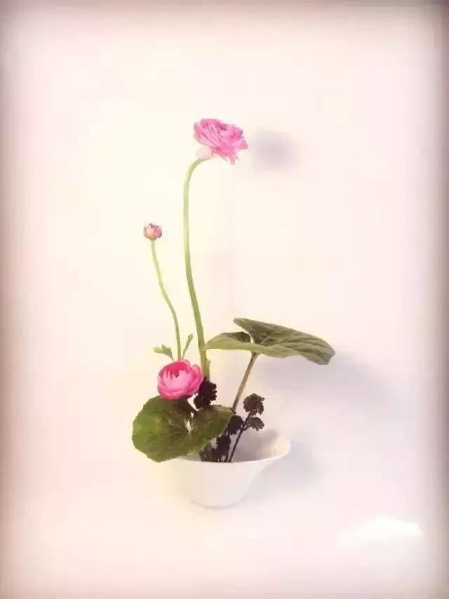 诗词纳兰容若,十首纳兰容若的经典诗词令人陶醉