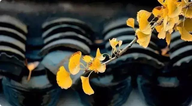 猜字谜看看你能猜到几个,160个趣味字谜