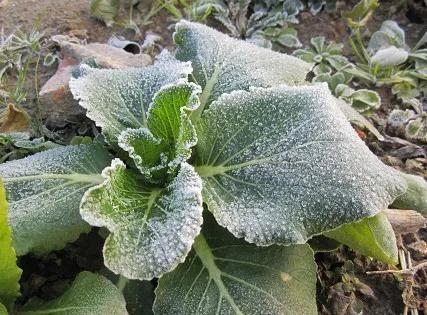 物态变化与凝华现象,凝华升华六种物态的变化过程