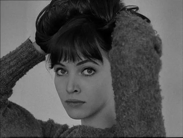 法国新浪潮恋人：他用电影为她书写情书，又用电影同她告别