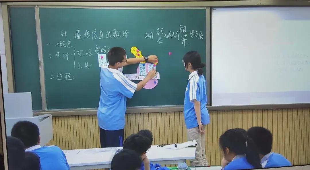 师大实外国际部,师大实外简介