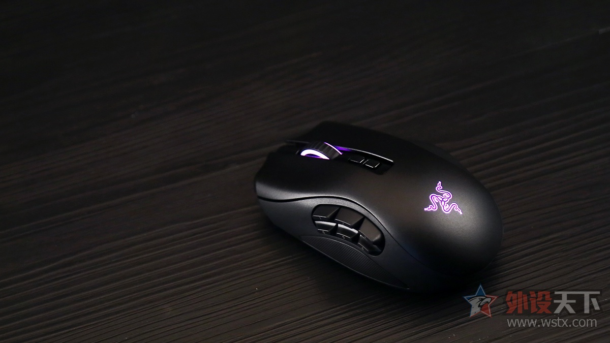 雷蛇那伽梵蛇鼠标宏,雷蛇那伽梵蛇专业版怎么装电脑上