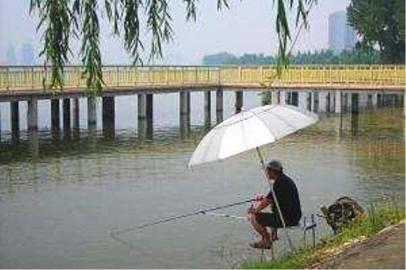 最有效提高中鱼率的钓组,上鱼最容易的抛竿钓组