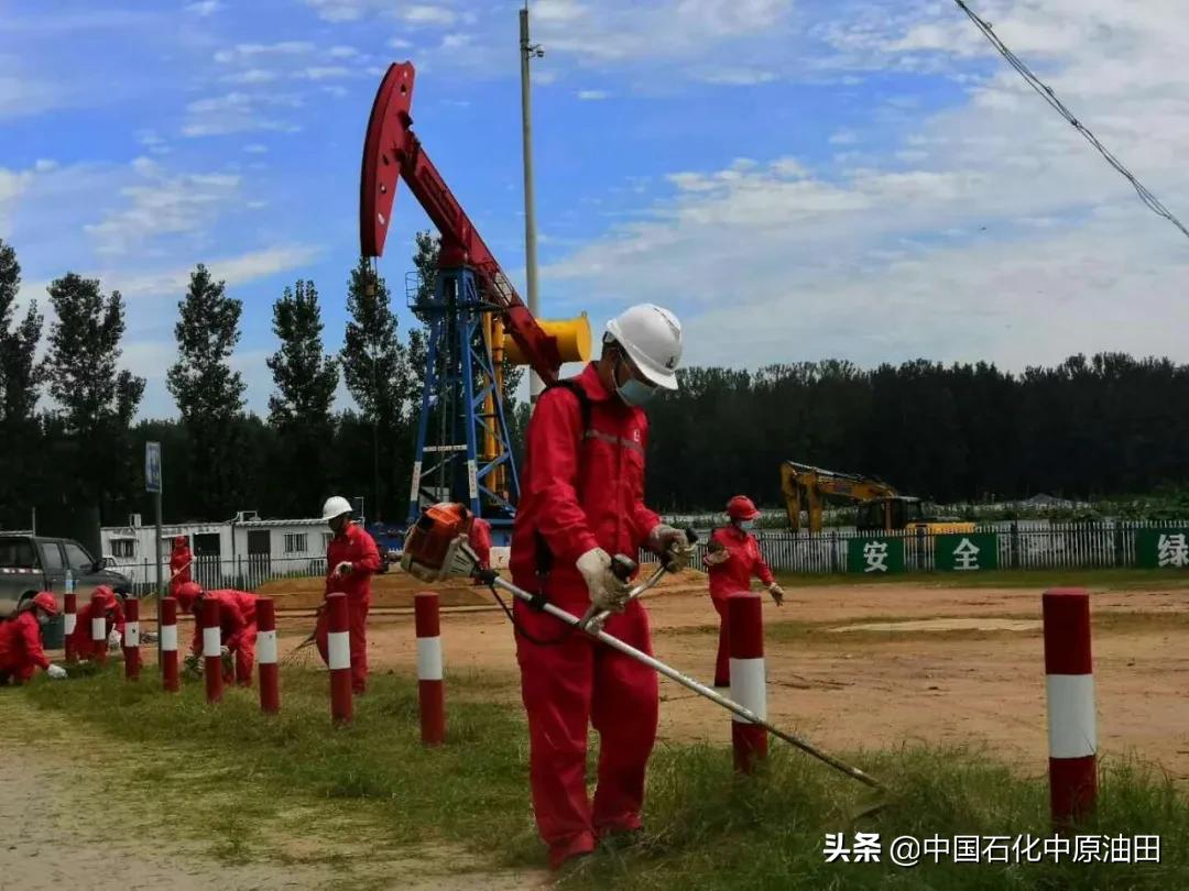 油田生日快乐,中原油田五一劳动节