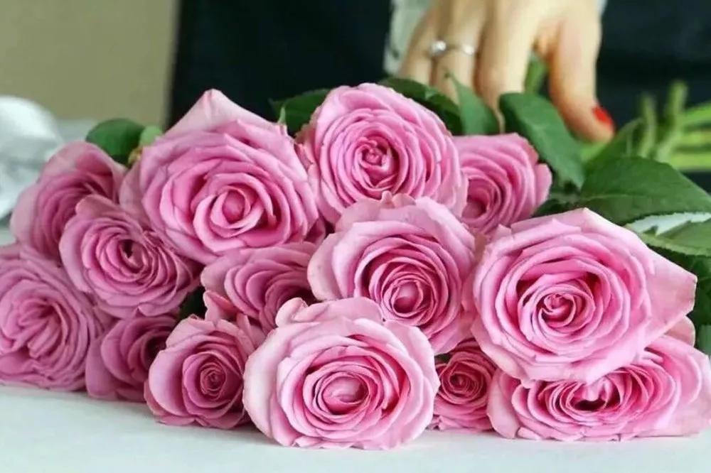 花店必备的5款玫瑰,花店常用的10款玫瑰花是哪些品种