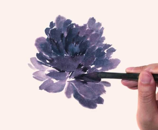 国画牡丹和石头的画法图片,初学国画牡丹花头画法图解