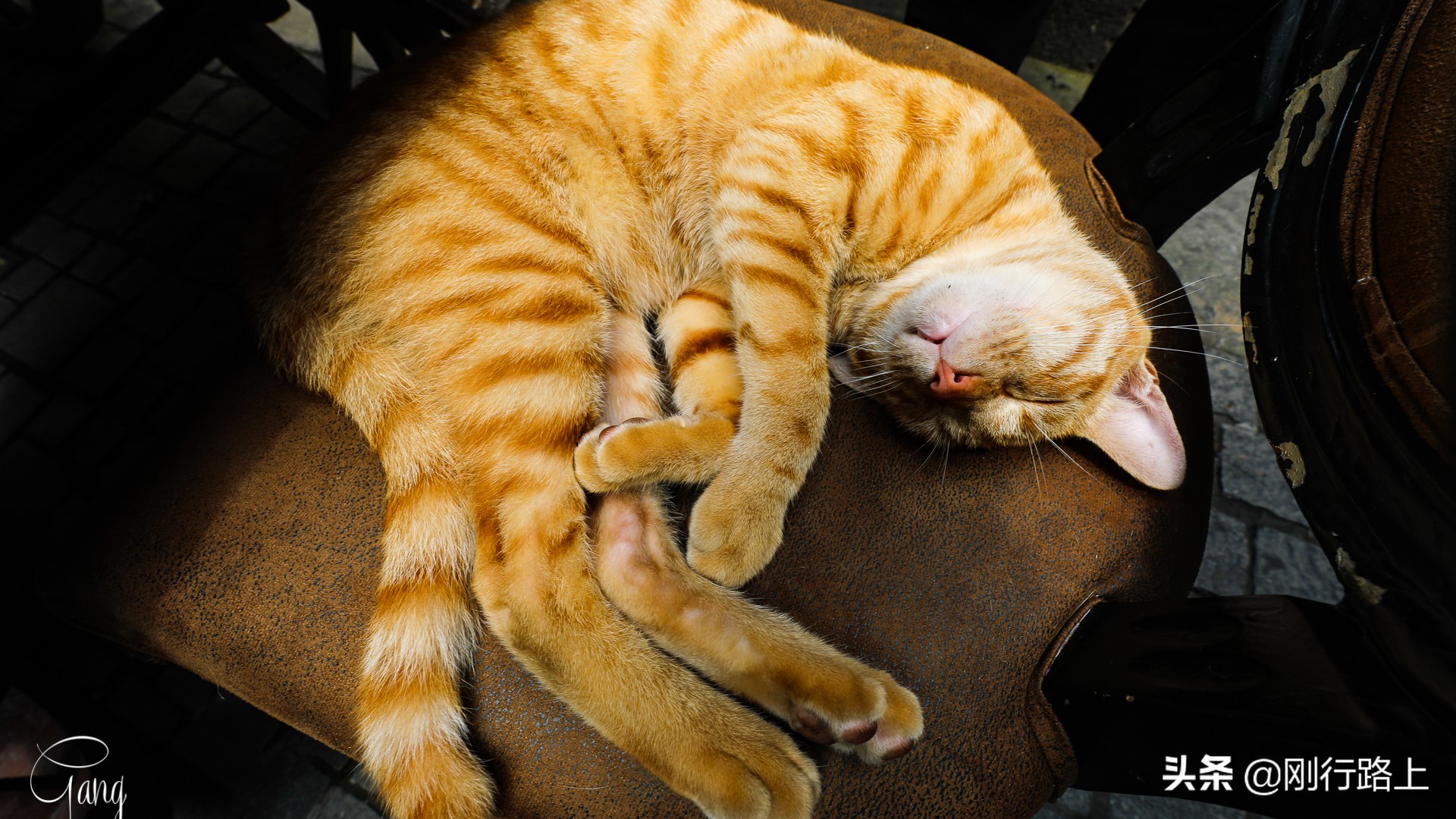 上海拍照打卡地,上海田子坊旅游最佳攻略选择