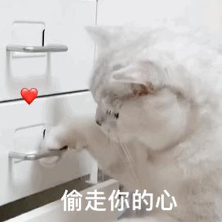 如何裁剪视频一招帮你搞定,视频裁剪简单方法