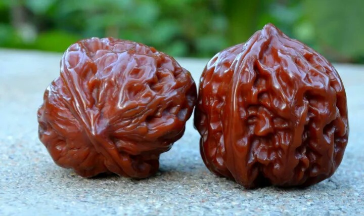 核桃小白尖怎么处理,核桃尖用什么补最好