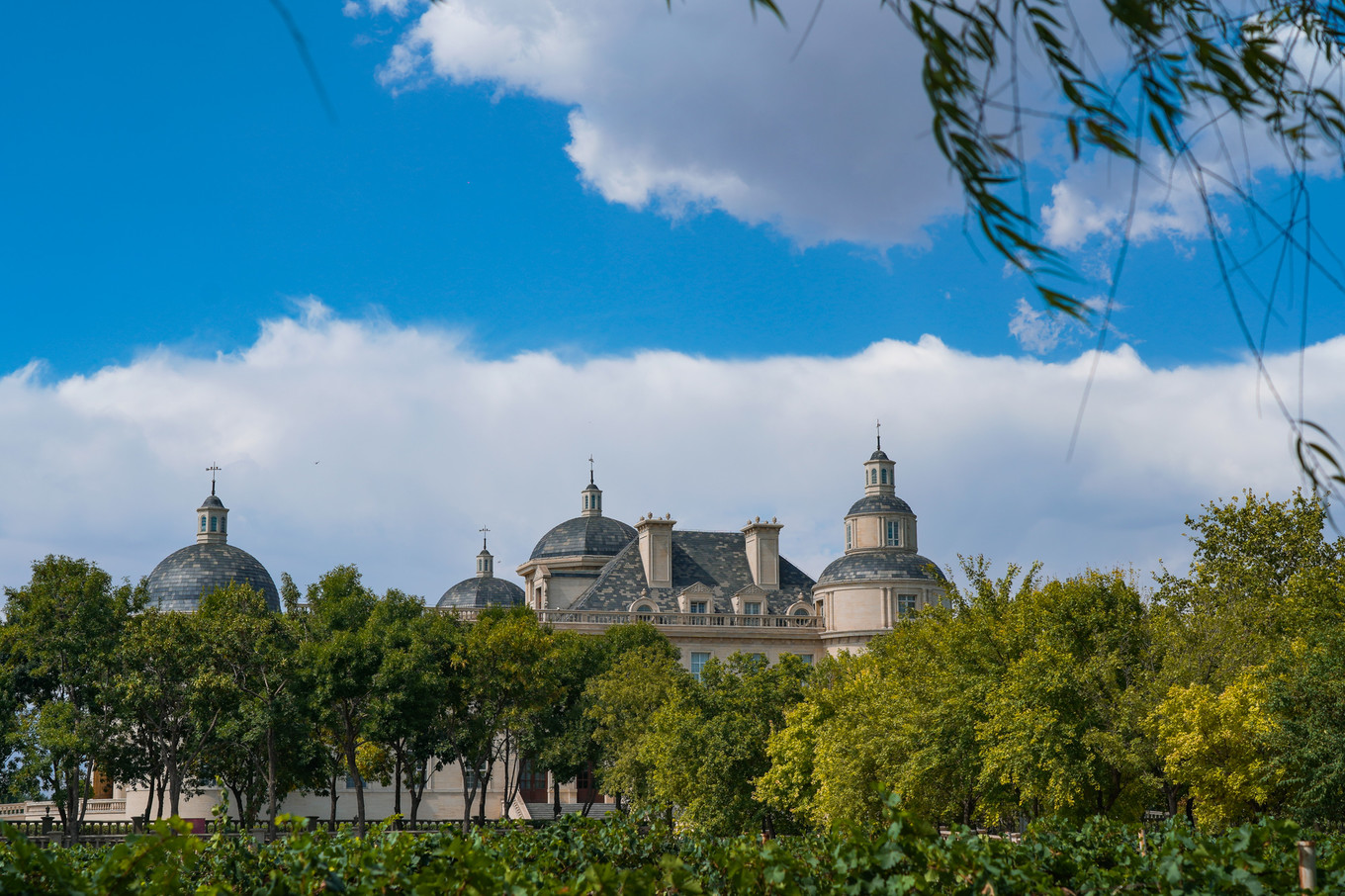 宁夏银川有哪些打卡地,游银川必去的网红打卡地