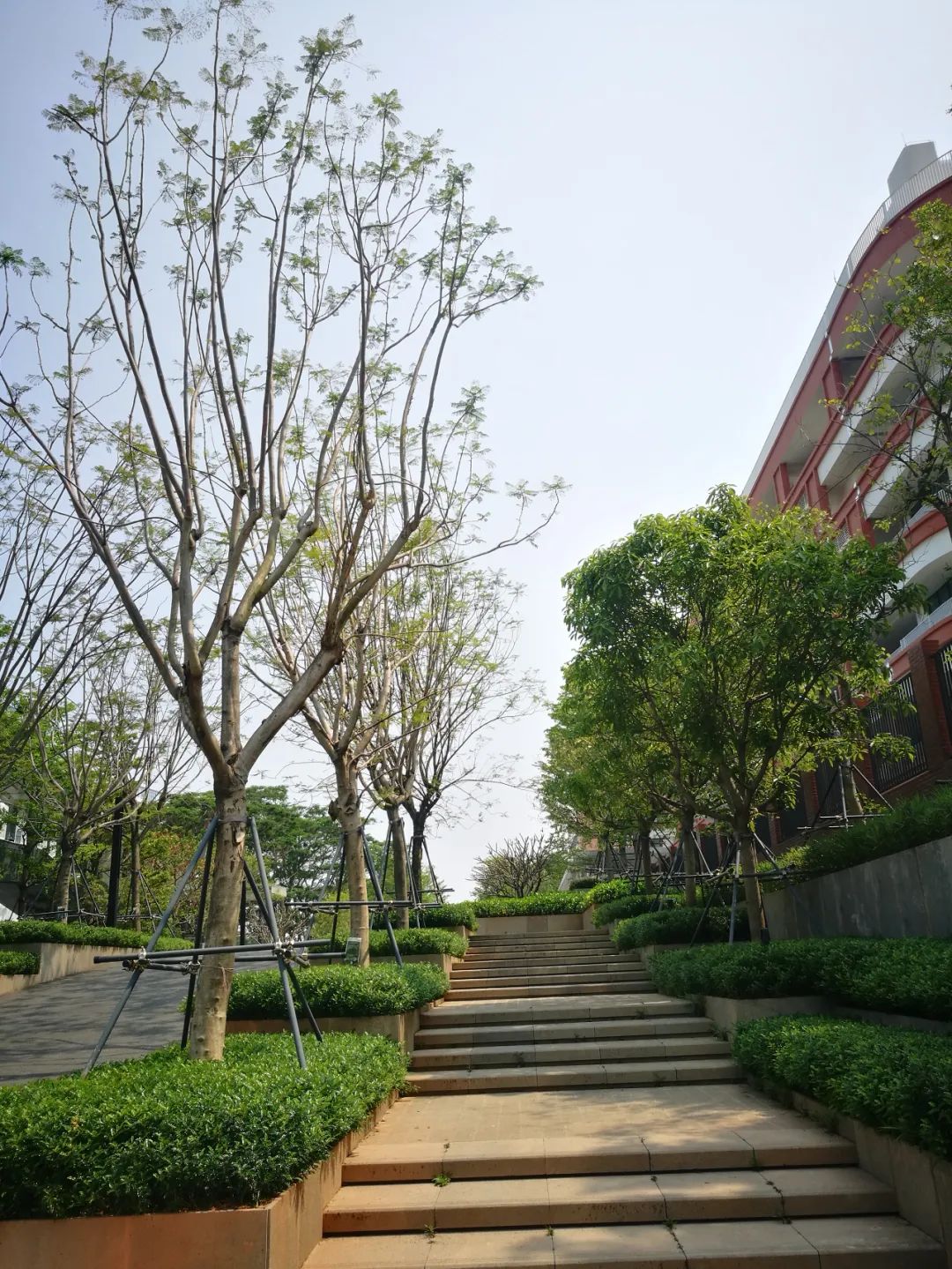 深圳坪山同心源外国语学校,深圳坪山外国语学校图片