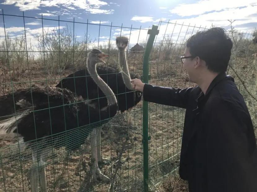 马国维拍的视频,马国维浙江