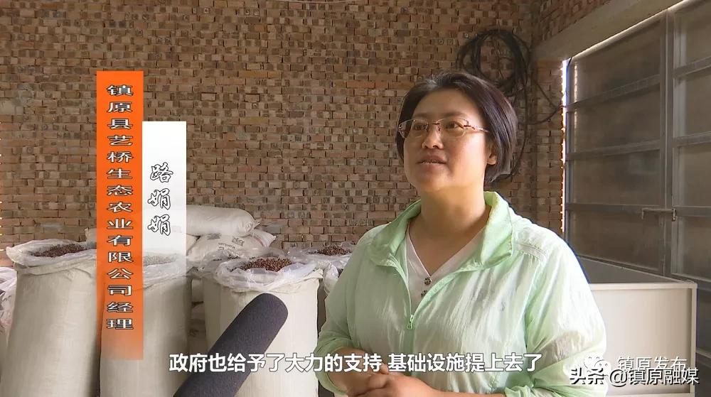 襄汾花椒映红致富路,陇南武都小康路上花椒红