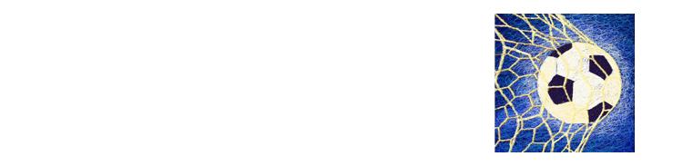 伊哈洛殷亚吉伤势如何,伊哈洛申花集锦