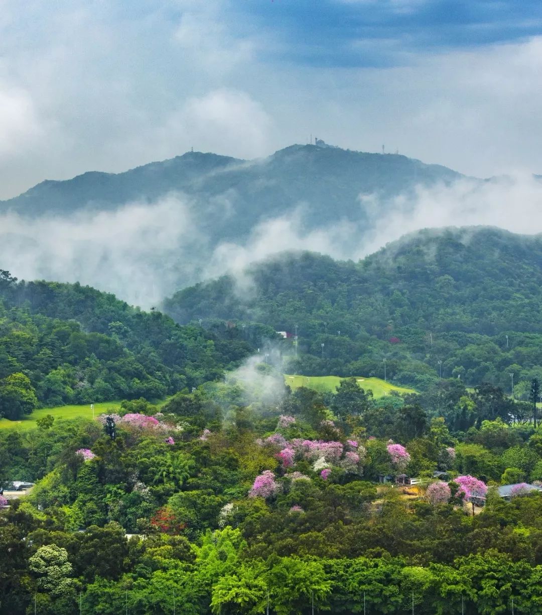 什么是广州市区,什么是广州十三行
