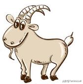 香港苏民峰2019十二生肖运程,2013出生属龙2019运程