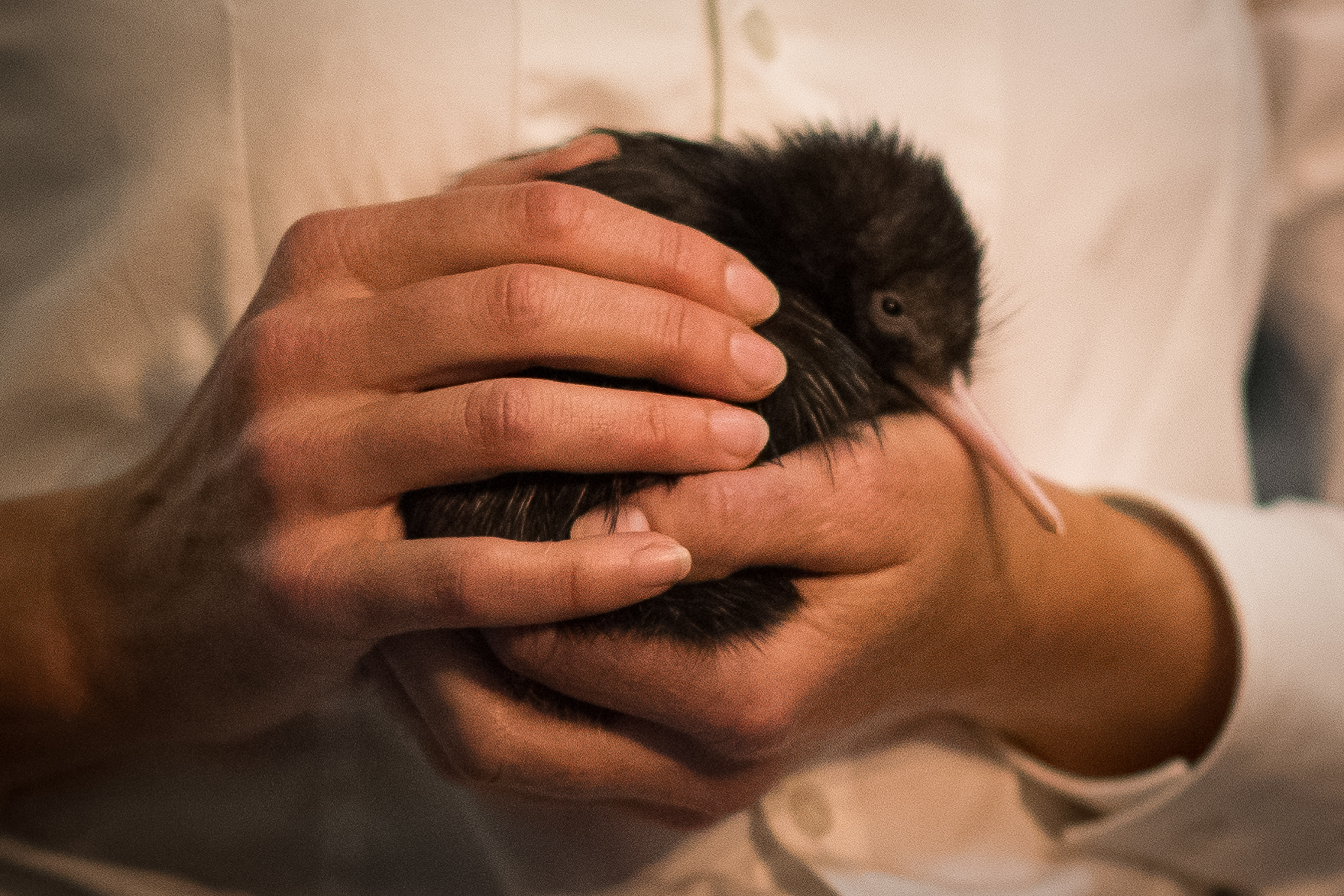 哈里梅根蜜月,哈里梅根徒步游