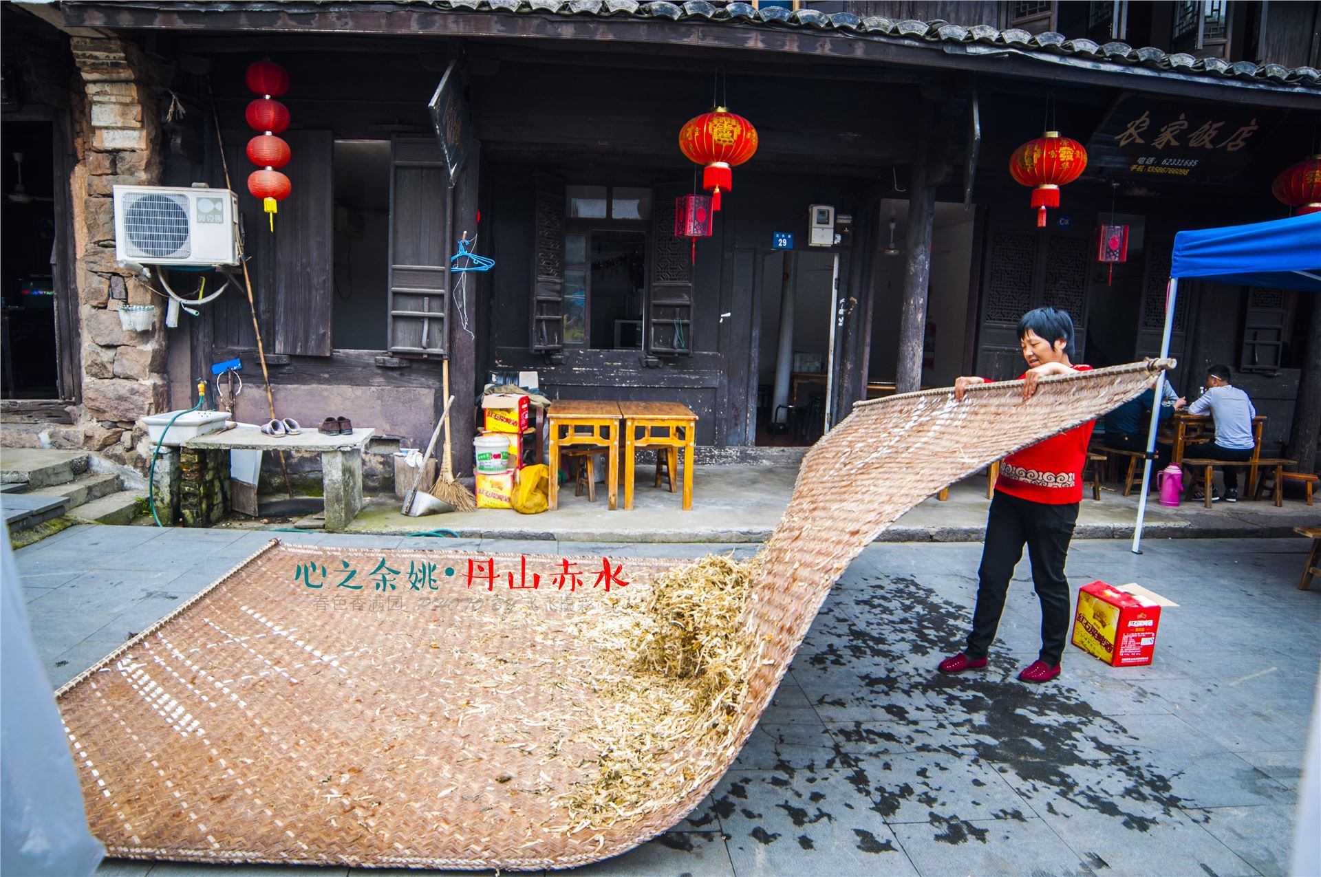 丹山赤水的老柿林景区,丹山赤水柿林古村