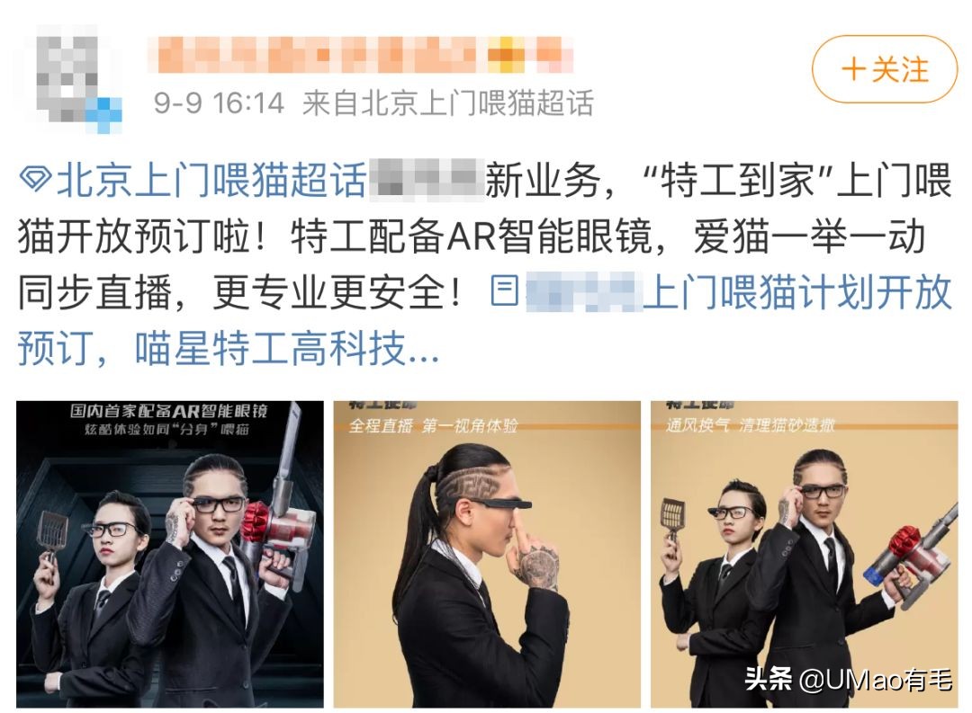 上门喂猫到底怎么样,上门喂猫一般多久一次