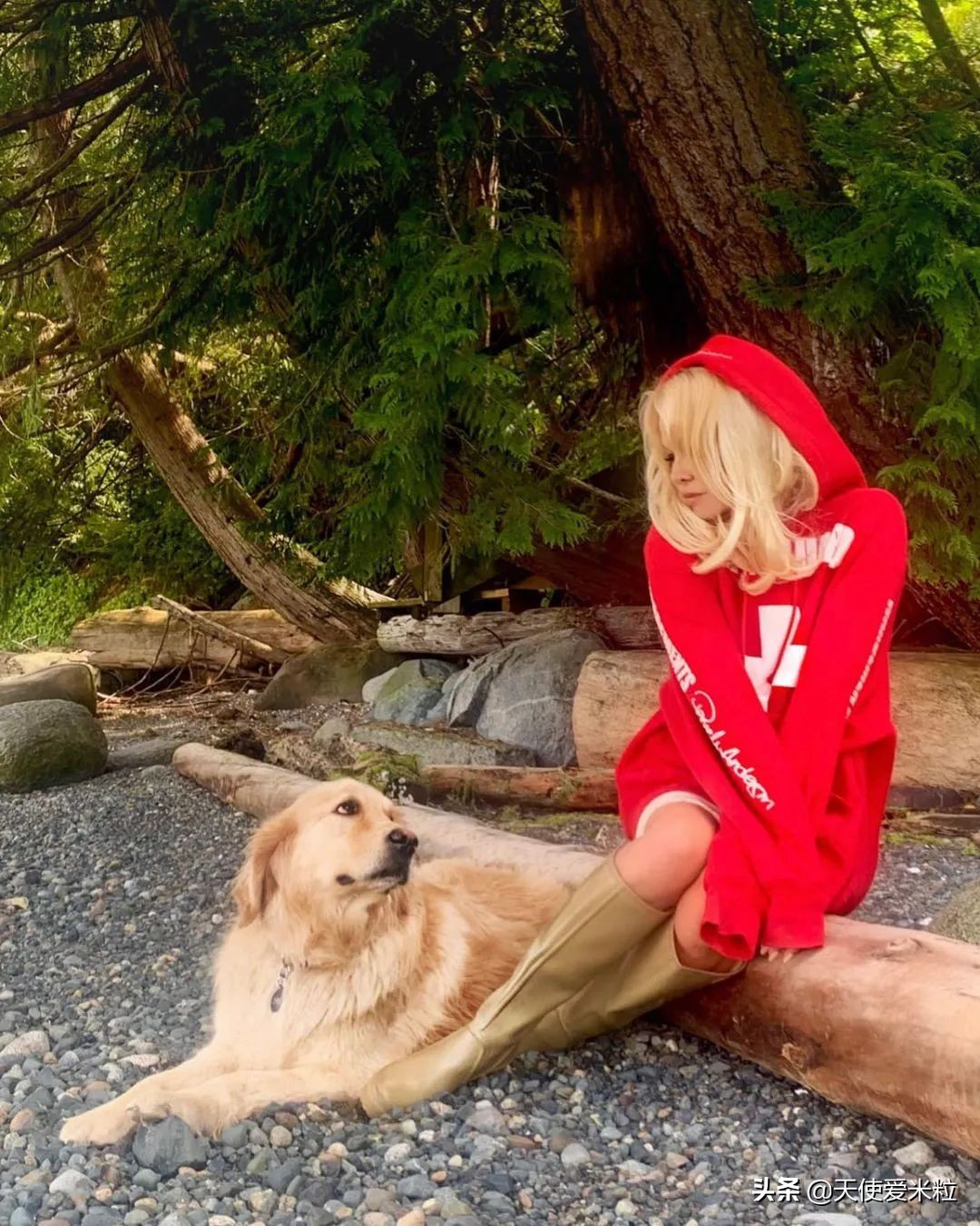 53岁结婚5次嫁给前世界首富,帕米拉·安德森丈夫